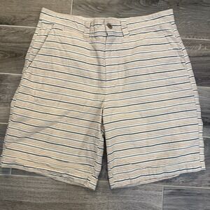 The Territory Ahead Men's Striped Lined Shorts 34/9 Preppy Casual Beachy